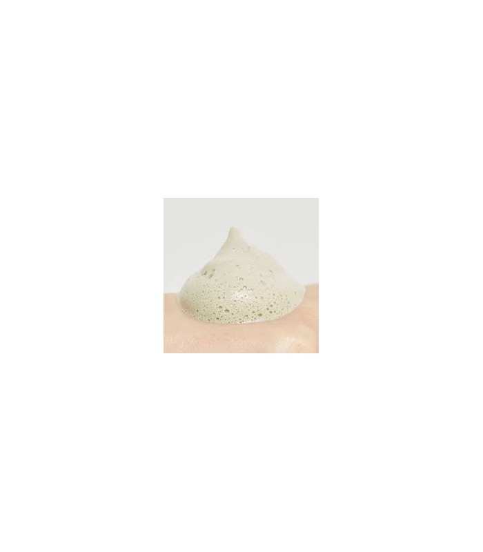MISSHA TIME REVOLUTION ARTEMISIA PACK FOAM CLEANSER 150ML
