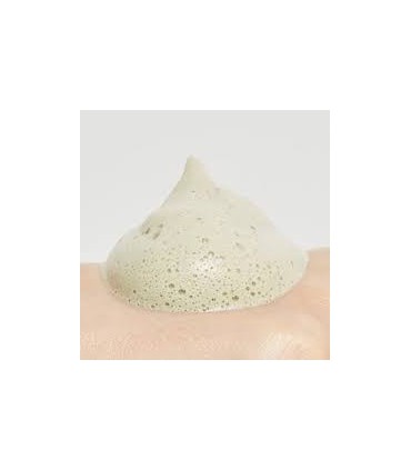 MISSHA TIME REVOLUTION ARTEMISIA PACK FOAM CLEANSER 150ML