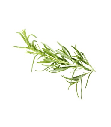 COXIR TEA TREE PORE & SEBUM EMULSION 100ML