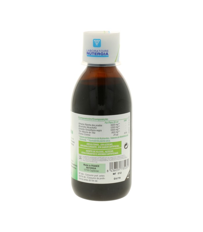 NUTERGIA ERGYDREN 250 ML