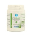 NUTERGIA ERGYCLEAN 120G