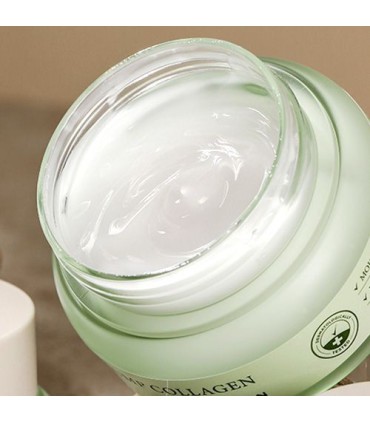 MIZON PHYTO PLUMP COLLAGEN DAY CREAM 50GR