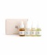 BEAUTY OF JOSEON HANBANG SERUM DISCOVERY KIT