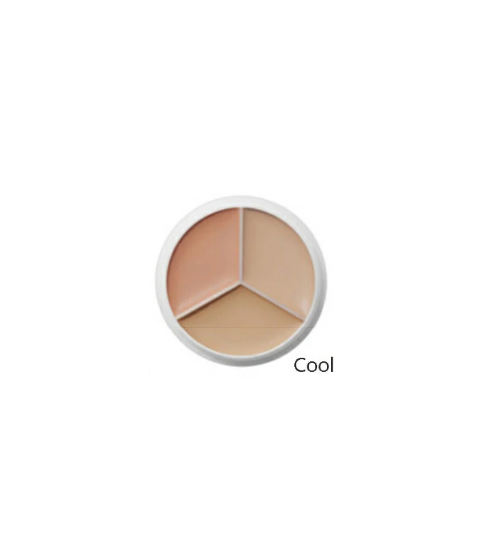 TFIT COVER UP PRO CONCEALER COOL