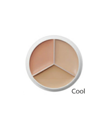 TFIT COVER UP PRO CONCEALER COOL