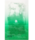 AXIS Y MUGWORT GREEN VITAL ENERGY COMPLEX SHEET MASK 27ML