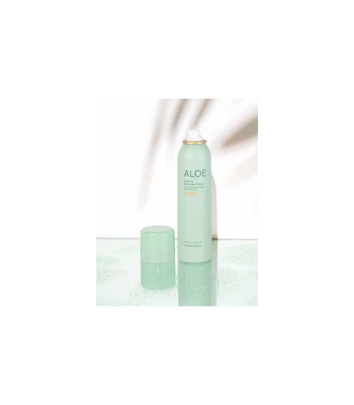 HOLIKA HOLIKA ALOE COOLING SUNSCREEN SPRAY 50SPF PA++++